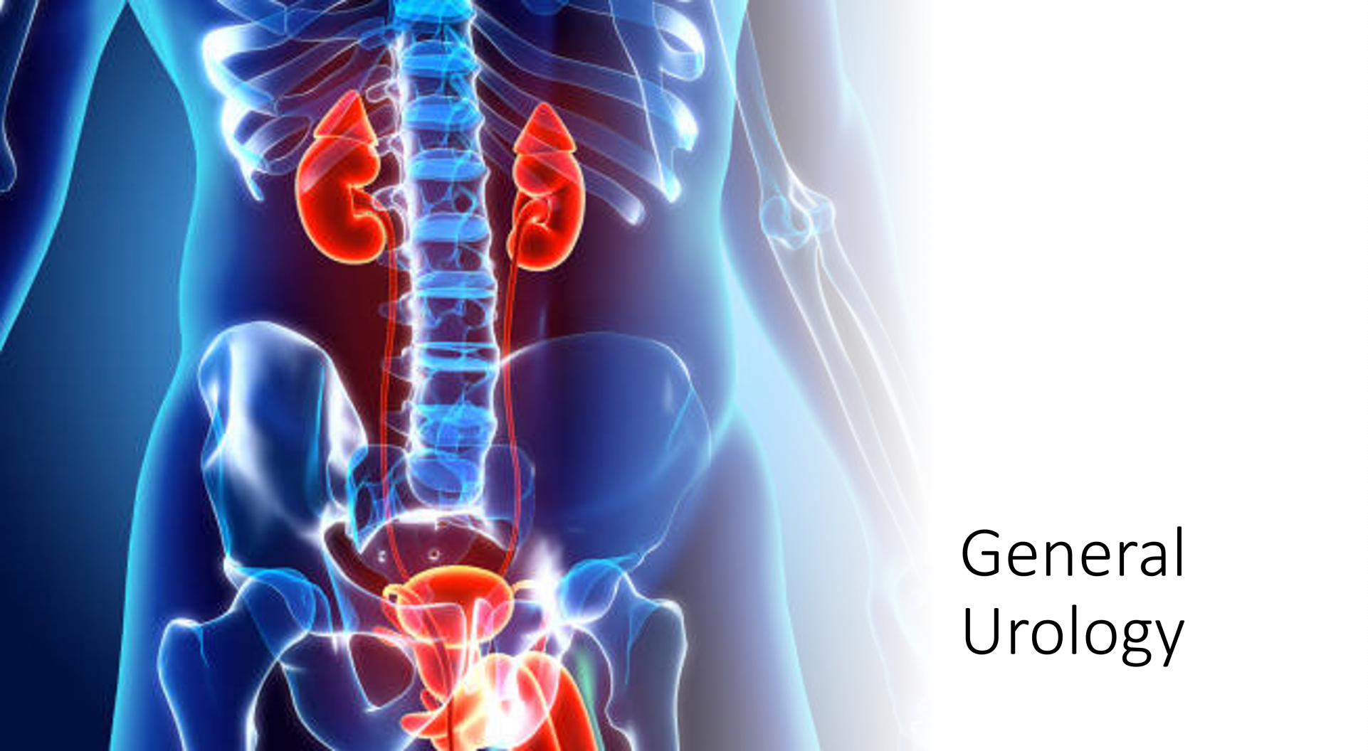 Urinary Tract Infection – London Urology Specialists